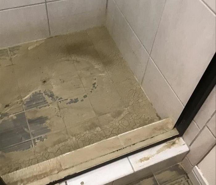 Water backup in shower